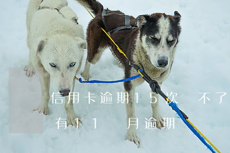 信用卡逾期15次辦不了貸款(信用卡5年內有11個月逾期)