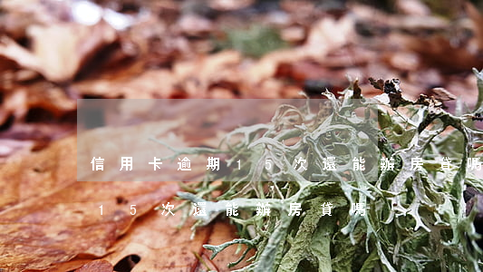 信用卡逾期15次還能辦房貸嗎(信用卡逾期15次還能辦房貸嗎)