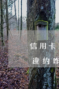 信用卡逾期15算法(信用卡5000逾期了違約咋算)