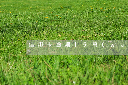 信用卡逾期15萬(wàn)每月還一些