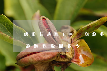 信用卡逾期15萬利息多少錢(五萬元信用卡逾期利息是多少)