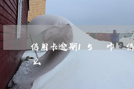 信用卡逾期15萬咋辦(信用卡逾期15天怎么辦)