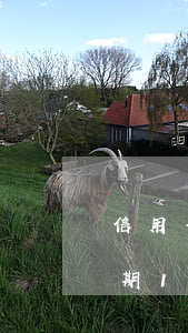 信用卡逾期15萬坐牢了怎么還錢 信用卡逾期15萬坐牢了怎么還錢