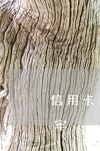 信用卡逾期15萬坐牢(信用卡逾期15萬坐牢)