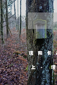 信用卡逾期16000暫時(shí)還不上-信用卡逾期16000暫時(shí)還不上怎么辦