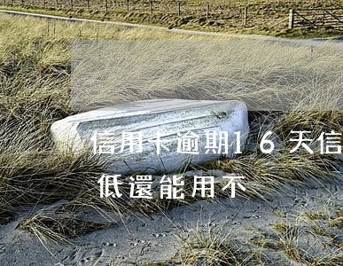 信用卡逾期16天(信用卡逾期16天還了最低還能用不)
