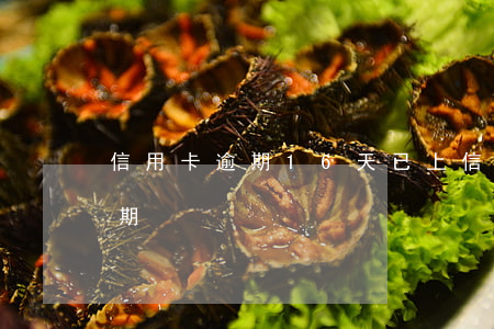 信用卡逾期16天已上信報(17年信用卡逾期)