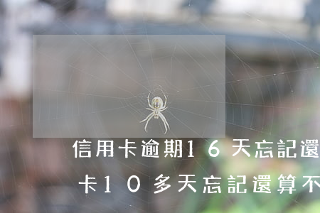 信用卡逾期16天忘記還款了怎么辦-信用卡10多天忘記還算不算逾期