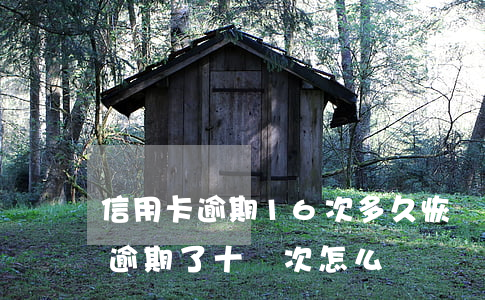 信用卡逾期16次多久恢復(fù)(信用卡逾期了十幾次怎么辦)