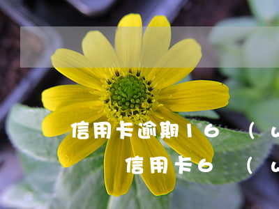 信用卡逾期16萬(wàn)無(wú)力償還(信用卡6萬(wàn)逾期協(xié)商無(wú)果沒(méi)有償還能力怎么辦)
