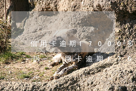 信用卡逾期17000多久會(huì)起訴-信用卡逾期17000多久會(huì)起訴我