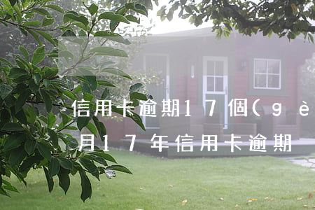 信用卡逾期17個(gè)月4個(gè)月(17年信用卡逾期)