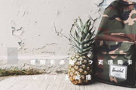 信用卡逾期17天(信用卡逾期17天會(huì)上征信嗎)