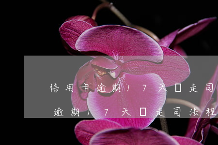 信用卡逾期17天會走司法程序嗎-信用卡逾期17天會走司法程序嗎知乎