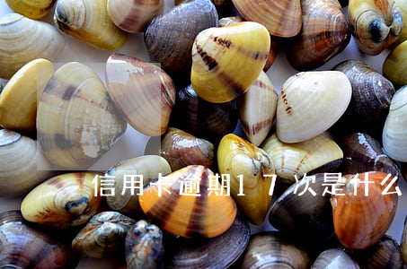 信用卡逾期17次是什么意思