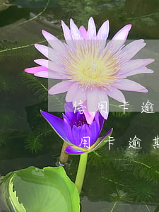 信用卡逾期1800多久會被起訴招商-信用卡逾期1800多久會被起訴招商銀行