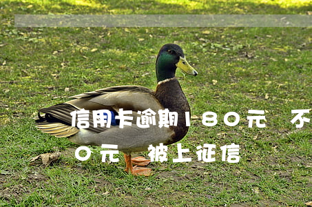 信用卡逾期180元會不會上征信(逾期200元會被上征信嗎)