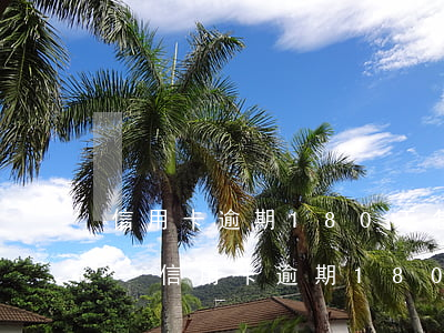 信用卡逾期180天怎么處理廣發(fā)-信用卡逾期180天怎么處理廣發(fā)銀行