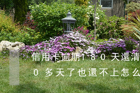 信用卡逾期180天還清了(欠信用卡逾期90多天了也還不上怎么辦?)