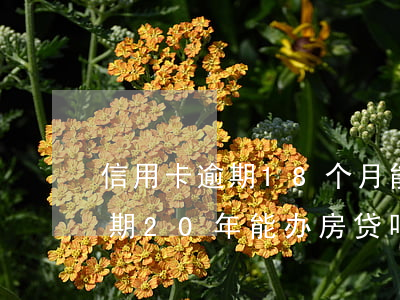 信用卡逾期18个月能办房贷吗(17年有逾期20年能办房贷吗)