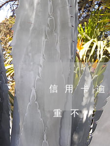信用卡逾期18天嚴重嗎(信用卡逾期八天嚴重不)