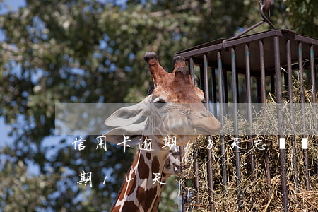 信用卡逾期18天忘記還了(忘了還信用卡逾期14天)