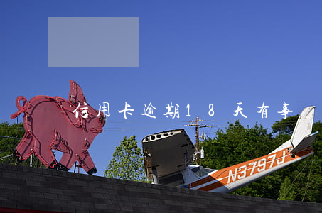 信用卡逾期18天有事嗎(信用卡逾期八天)