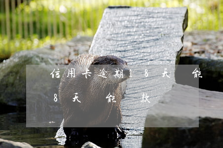 信用卡逾期18天還能還款嗎(信用卡逾期18天還能還款嗎)