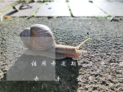 信用卡逾期18年一次還清(逾期一年的信用卡還清還能用嗎)