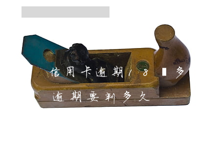 信用卡逾期18萬多久會起訴 信用卡20萬逾期要判多久