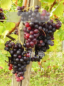 信用卡逾期18萬多長(zhǎng)時(shí)間會(huì)起訴-信用卡逾期18萬多長(zhǎng)時(shí)間會(huì)起訴對(duì)方