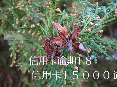 信用卡逾期18萬訴訟費(fèi)多少-信用卡15000逾期多久銀行起訴