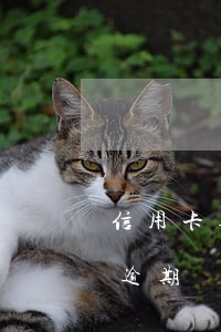 信用卡逾期193條(兩年前有10次信用卡逾期)