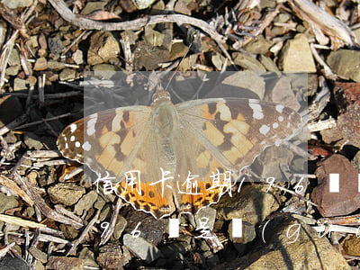 信用卡逾期196條規(guī)定(刑事196條是關(guān)于信用卡逾期規(guī)定)