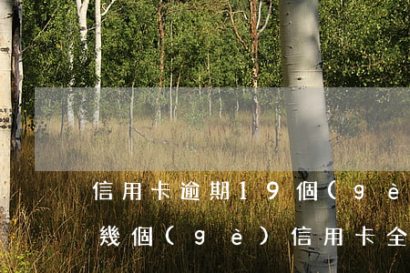 信用卡逾期19個(gè)月有什么影響(十幾個(gè)信用卡全部逾期了)