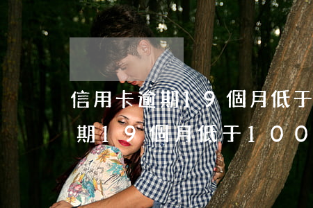 信用卡逾期19個月低于100-信用卡逾期19個月低于100元怎么辦