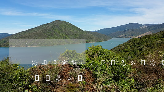 信用卡逾期19萬會怎么樣（信用卡逾期19萬會怎么樣）