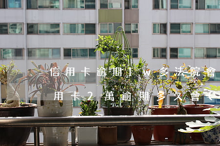 信用卡逾期1w多法院會(huì)受理 信用卡2萬逾期多久會(huì)被起訴