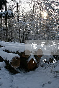 信用卡逾期1w會(huì)怎么楊 信用卡10000逾期