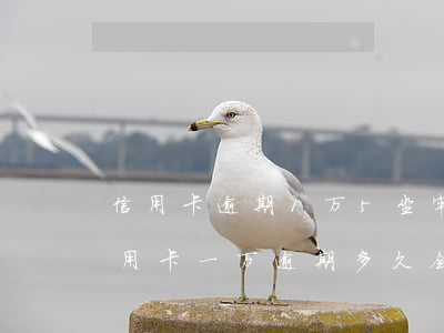 信用卡逾期1万5坐牢了信用卡怎么用(欠信用卡一万逾期多久会被起诉)
