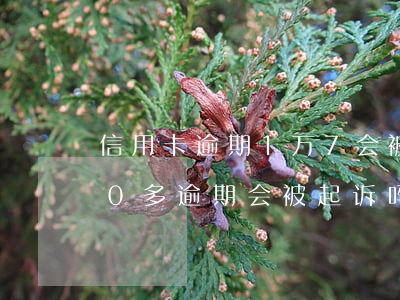 信用卡逾期1万7会被起诉吗(信用卡8000多逾期会被起诉吗)