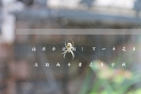 信用卡逾期1万一年还多少钱(一万的信用卡逾期两年要还多少钱)