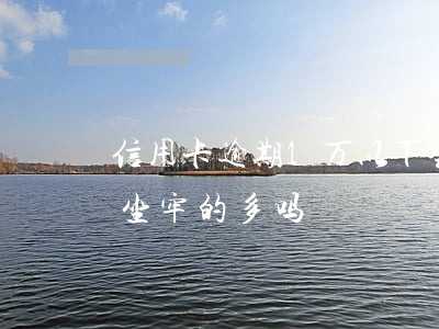 信用卡逾期1万以下会坐牢吗 因信用卡逾期坐牢的多吗