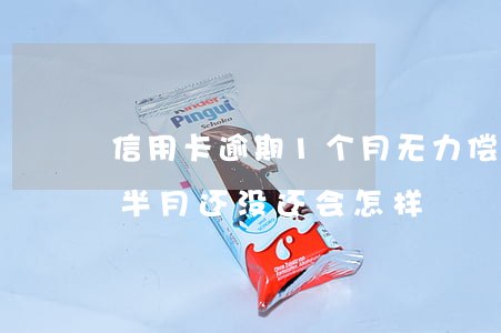 信用卡逾期1个月无力偿还(信用卡逾期一个半月还没还会怎样)