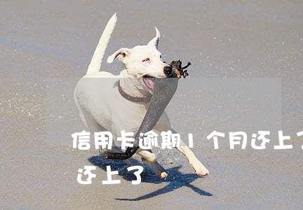 信用卡逾期1个月还上了(信用卡逾期1个月还上了)
