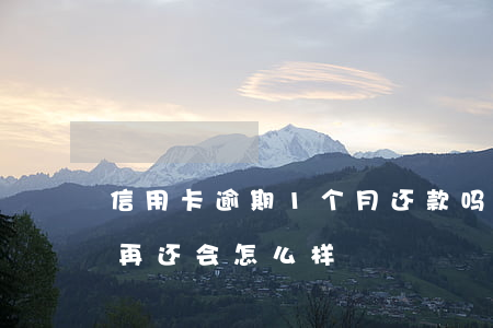 信用卡逾期1个月还款吗(信用卡逾期一个月再还会怎么样)