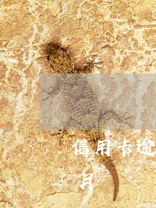 信用卡逾期1个月还能刷吗(信用卡 逾期 一个月)