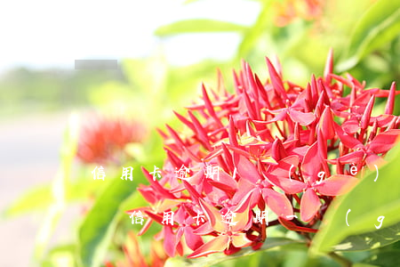 信用卡逾期1個(gè)月嚴(yán)重嗎(信用卡逾期一個(gè)月有什么后果)