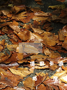 信用卡逾期1個(gè)月會(huì)降低額度(信用卡逾期1個(gè)月會(huì)降低額度)