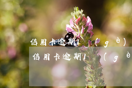 信用卡逾期1個(gè)月給家里打電話-信用卡逾期1個(gè)月給家里打電話怎么辦